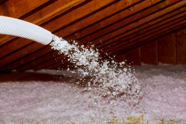 Best Spray Foam Insulation  in Richlands, NC