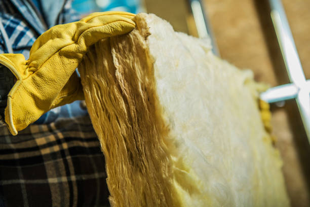 Best Attic Insulation Installation  in Richlands, NC