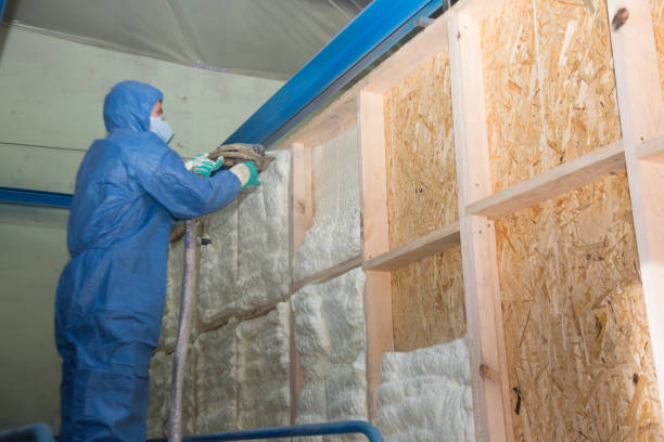 Best Crawl Space Insulation  in Richlands, NC