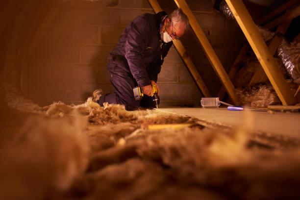 Best Professional Insulation Contractor  in Richlands, NC